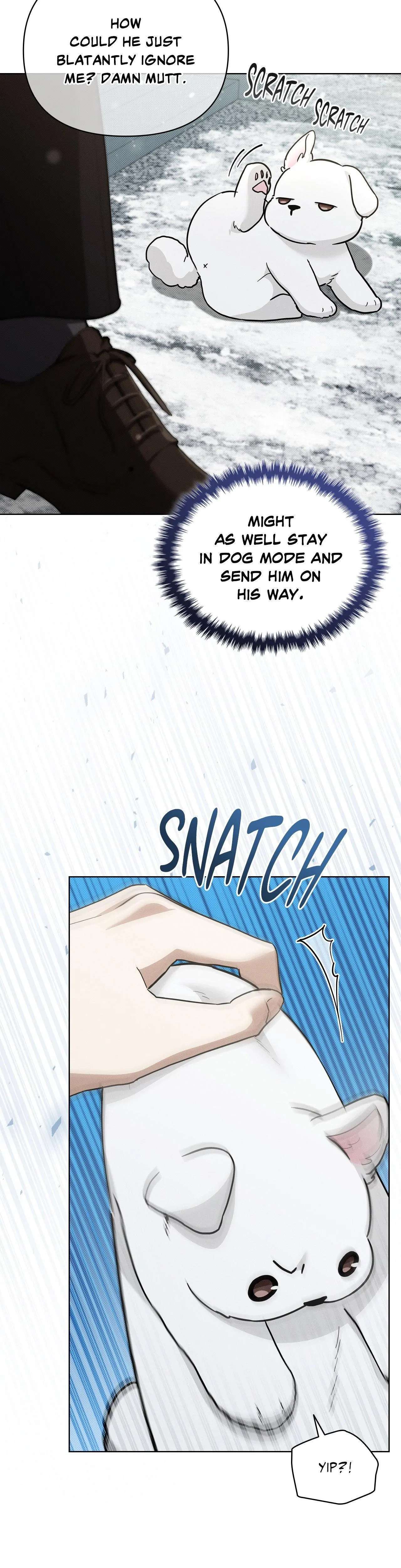 Paws & Claws Chapter 36 page 7 - 