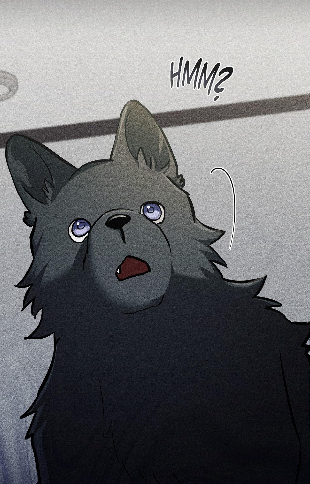 Paws & Claws Chapter 38 page 102 - 