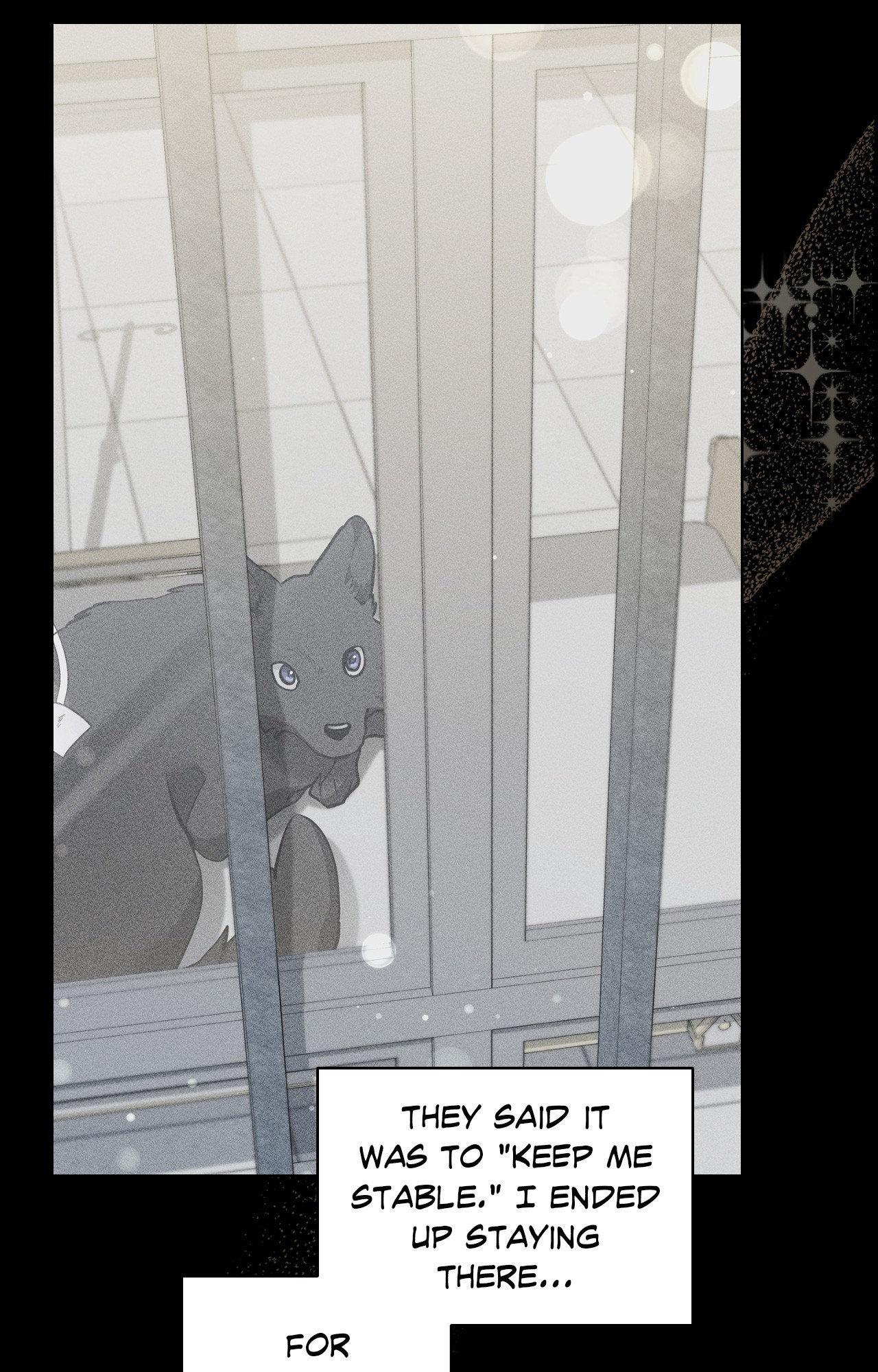 Paws & Claws Chapter 38 page 86 - 