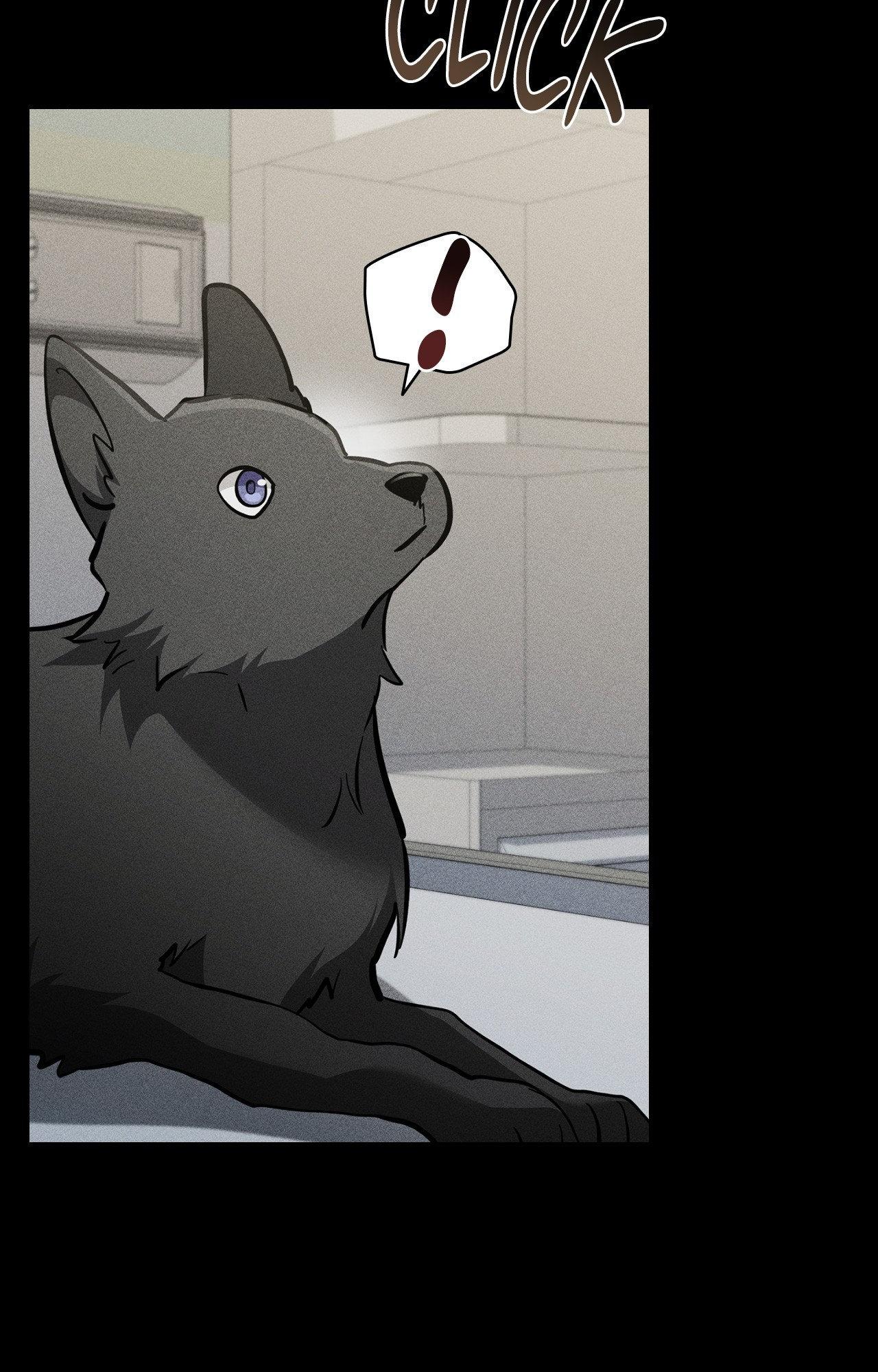 Paws & Claws Chapter 38 page 89 - 
