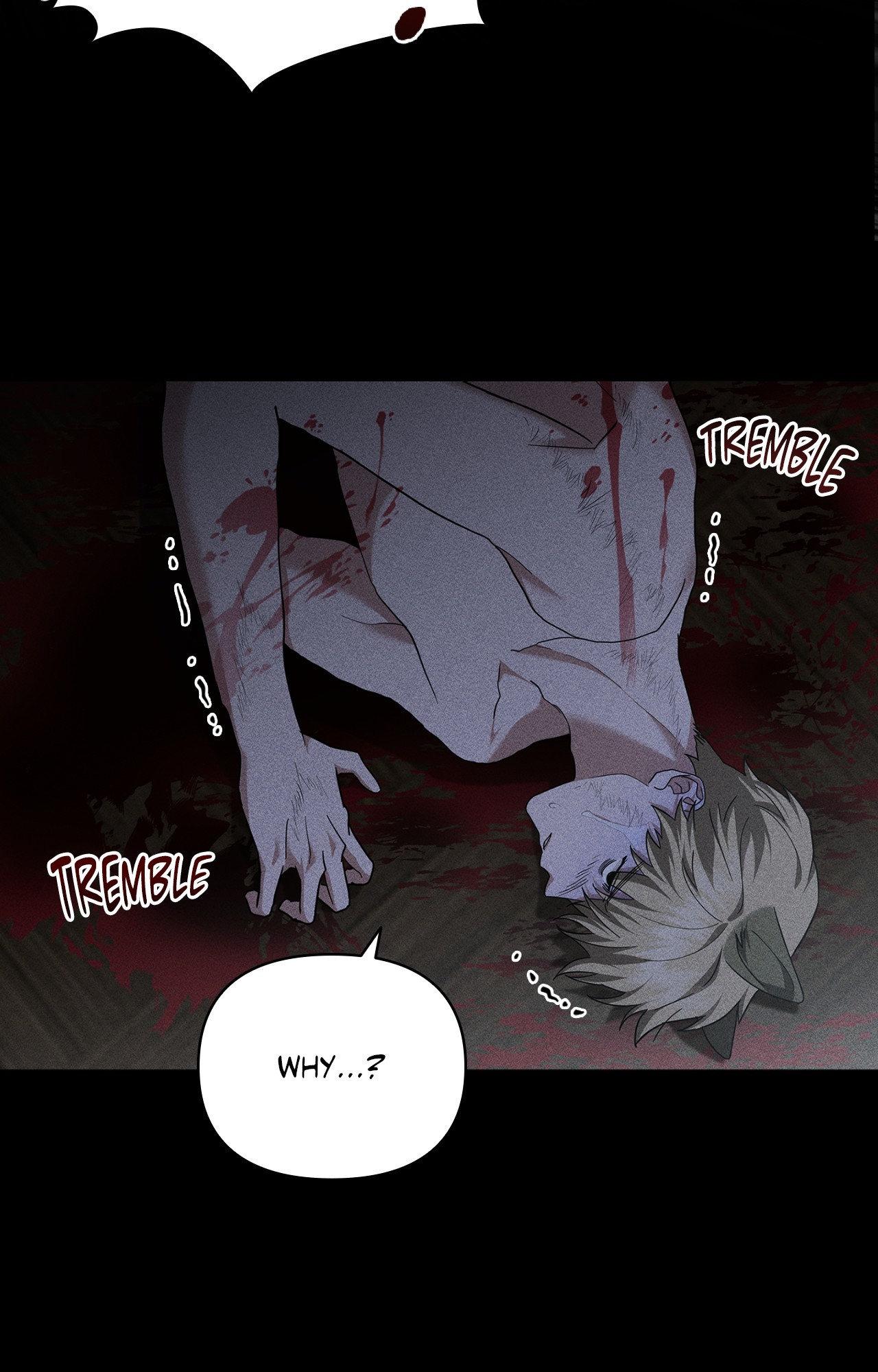 Paws & Claws Chapter 39 page 72 - 