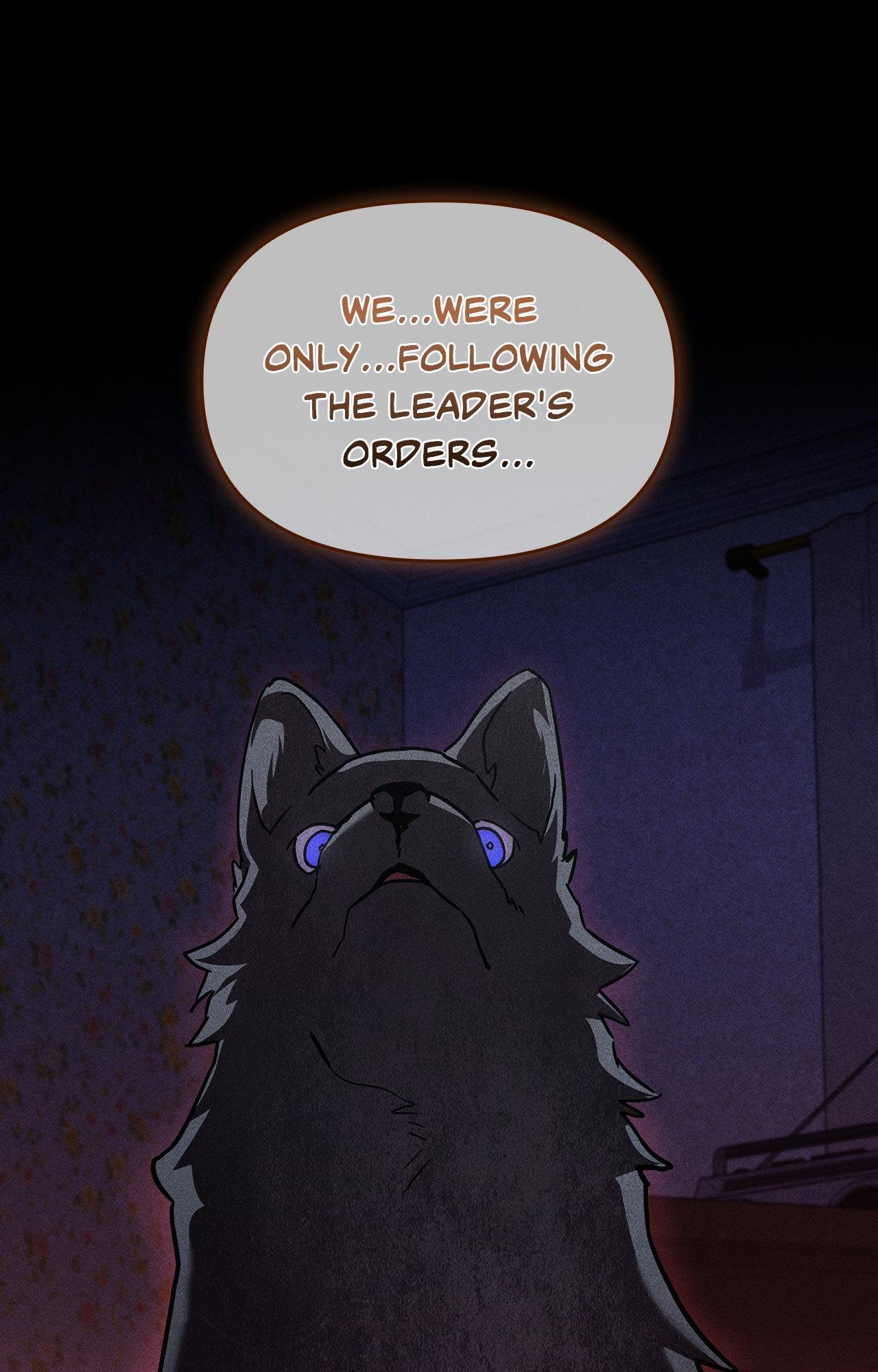 Paws & Claws Chapter 39 page 73 - 