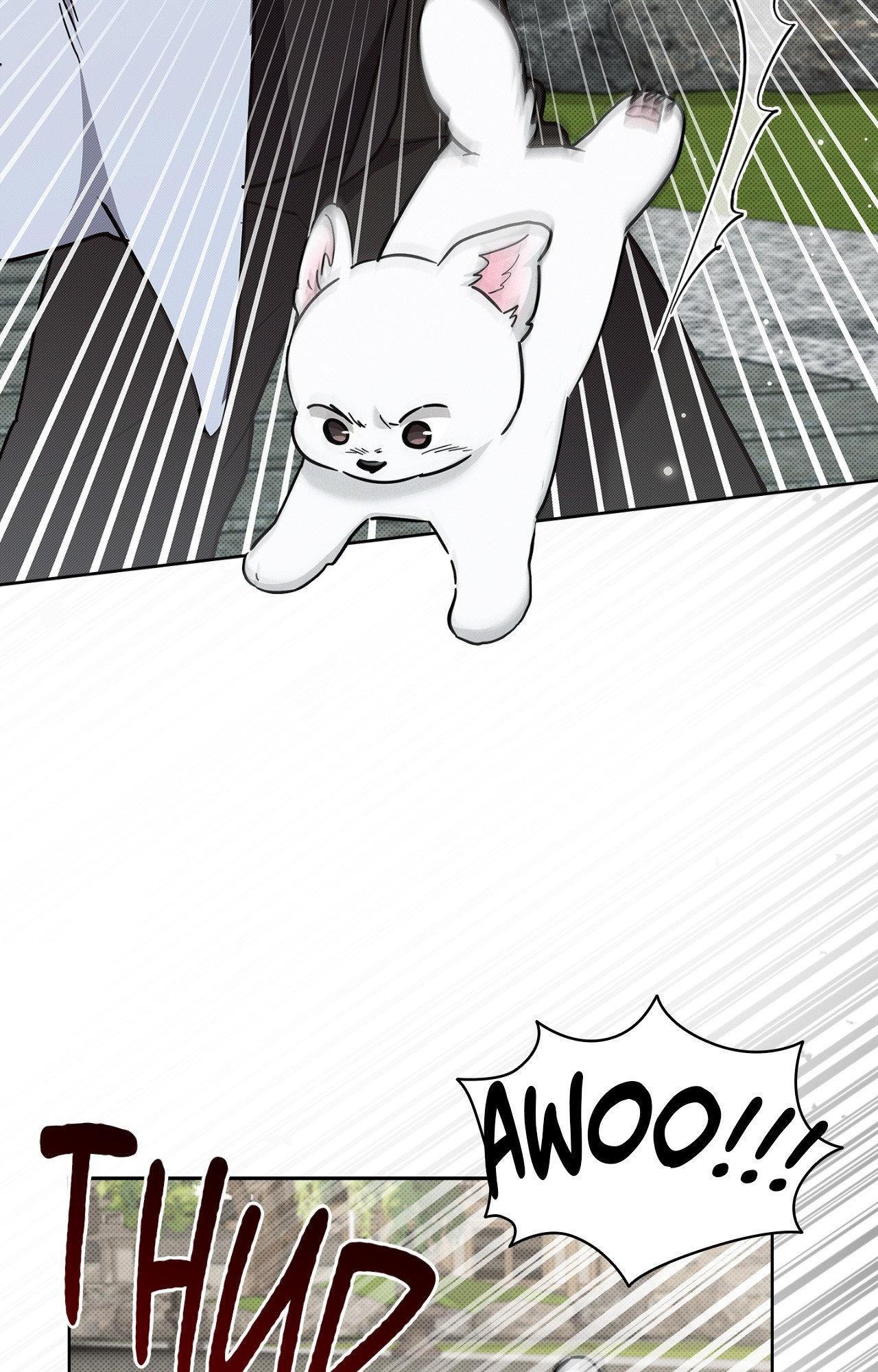 Paws & Claws Chapter 40 page 6 - 