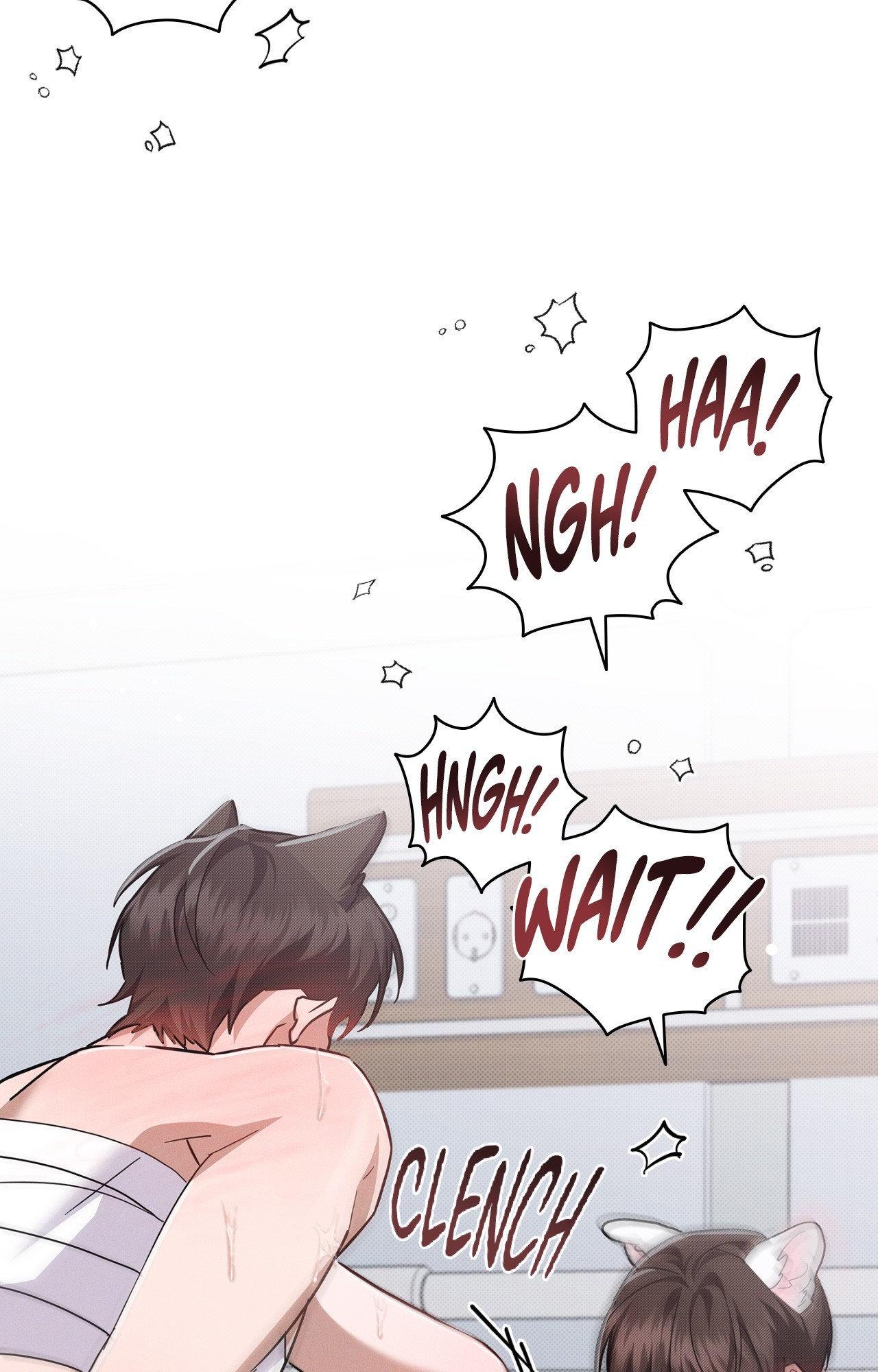 Paws & Claws Chapter 41 page 66 - 