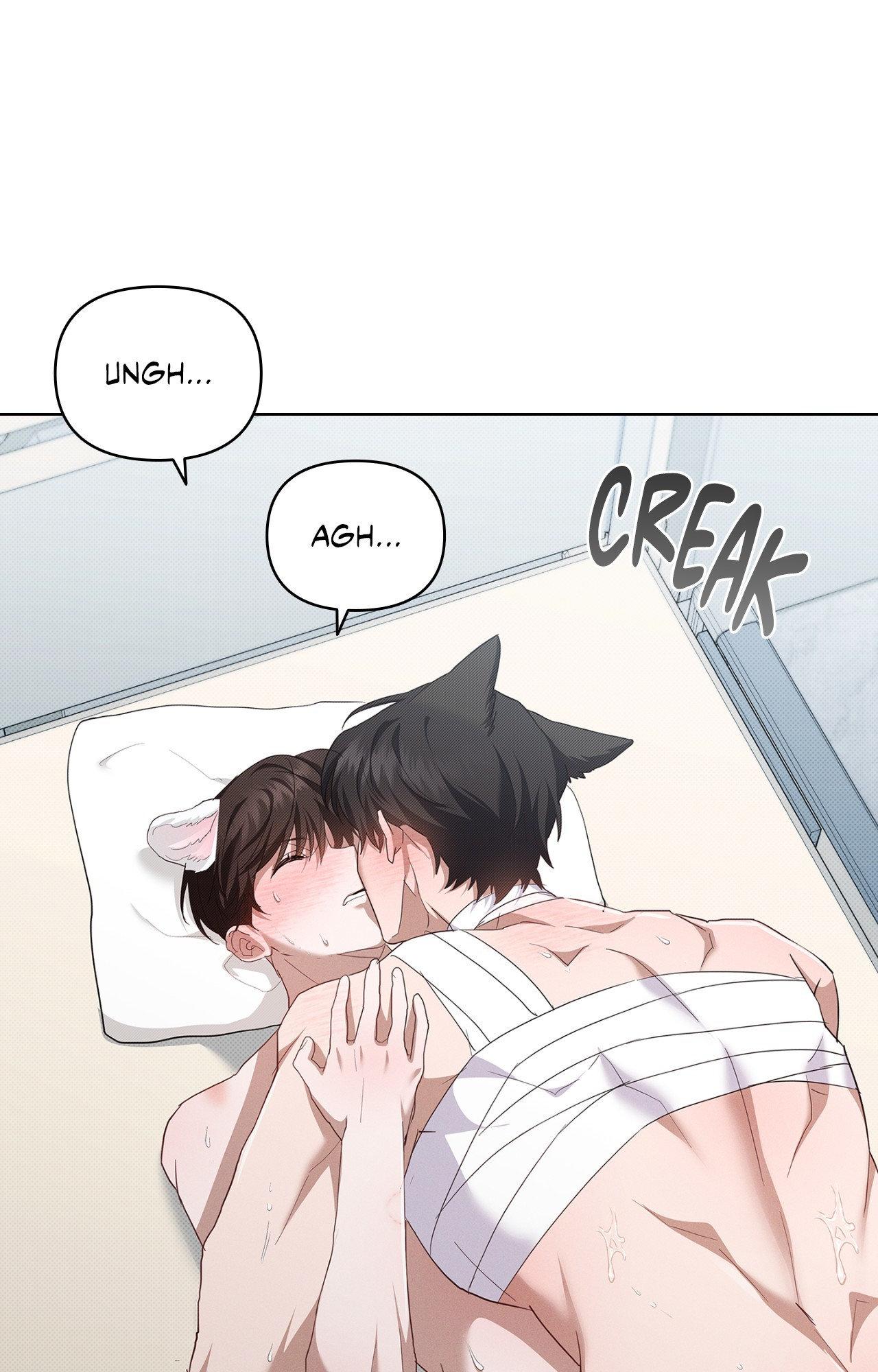 Paws & Claws Chapter 42 page 68 - 