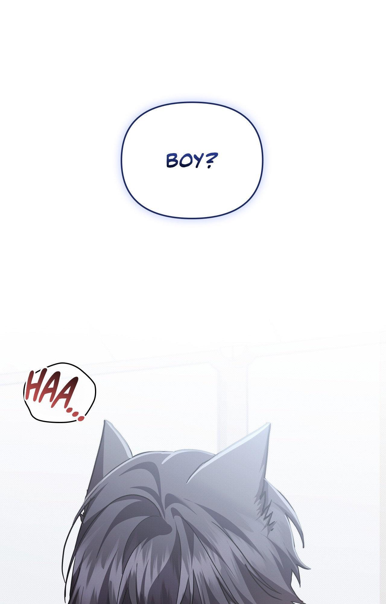 Paws & Claws Chapter 43 page 1 - 