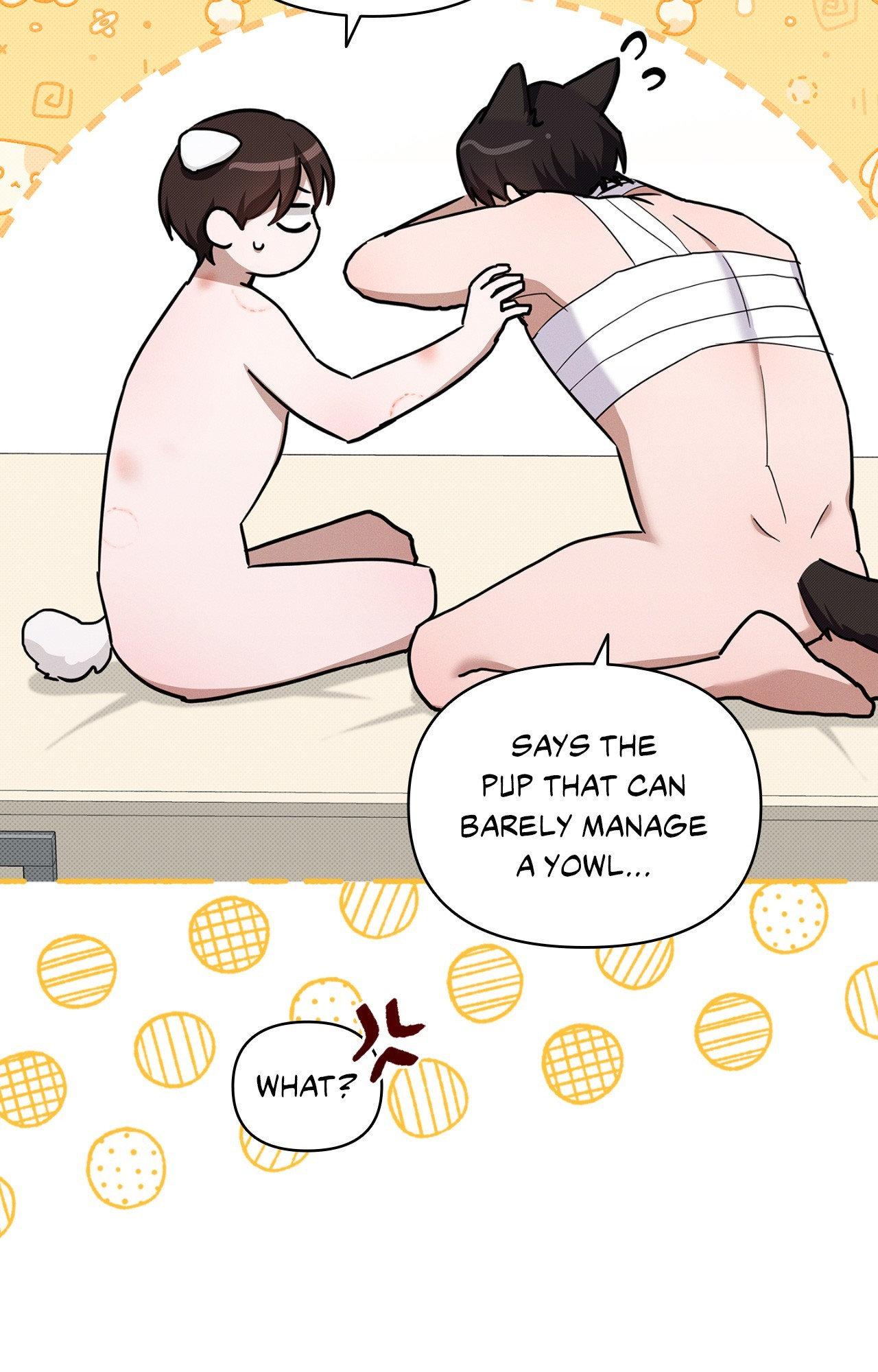 Paws & Claws Chapter 43 page 45 - 