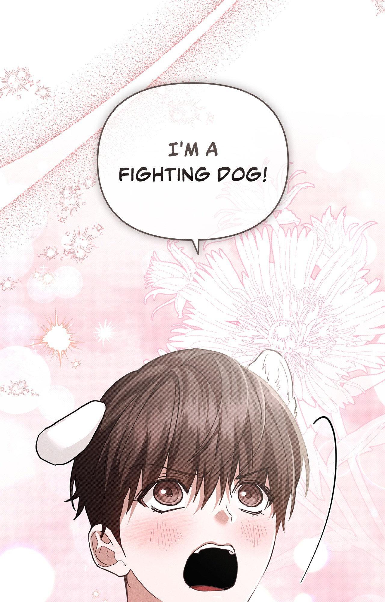 Paws & Claws Chapter 43 page 68 - 