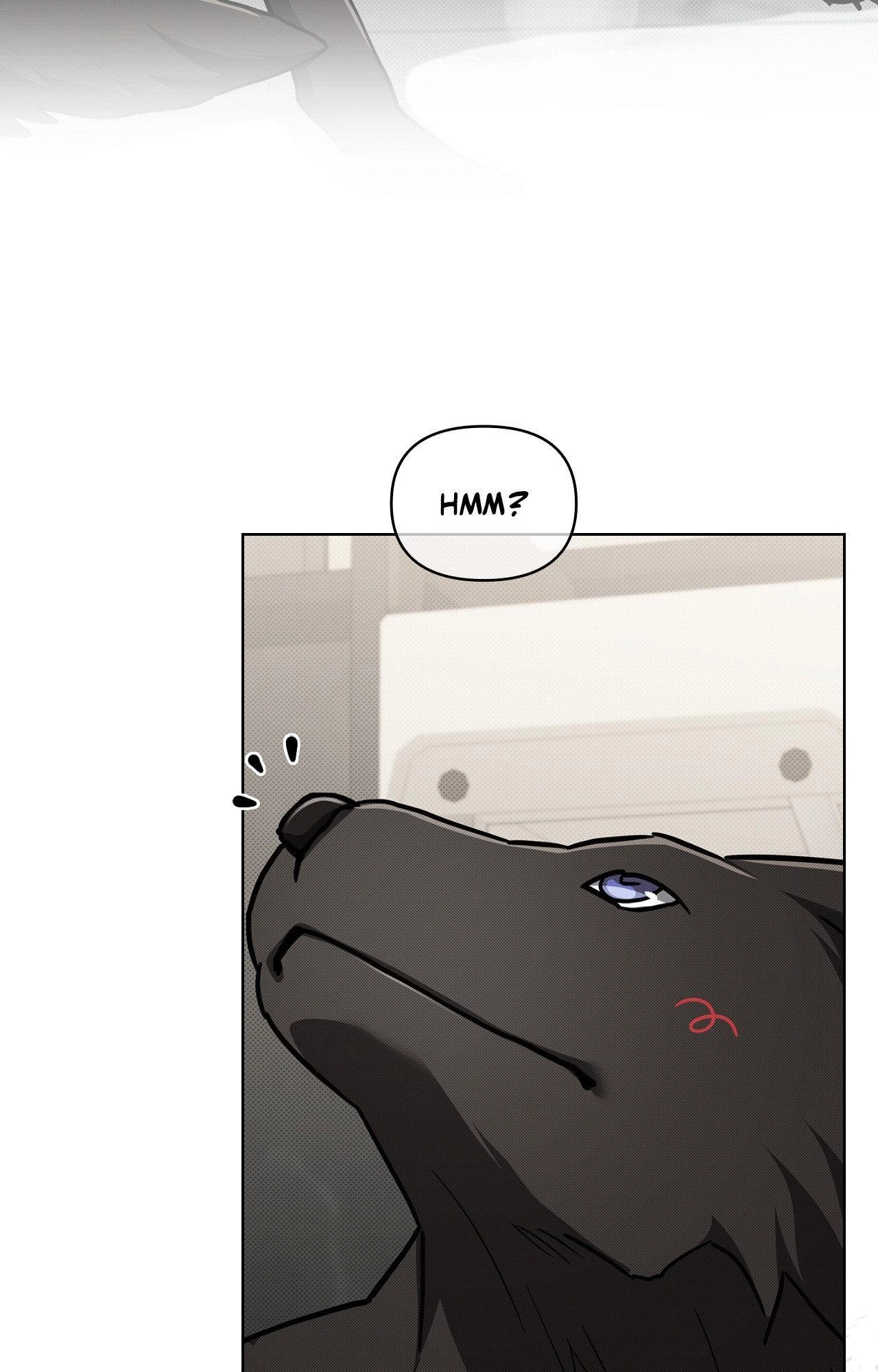 Paws & Claws Chapter 44.01 page 19 - 