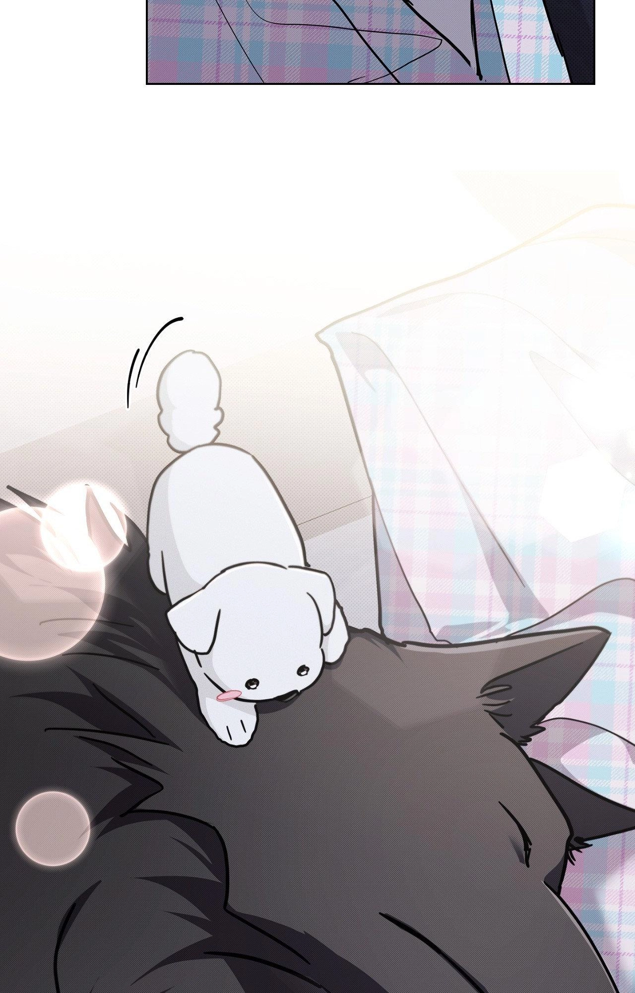 Paws & Claws Chapter 44.07 page 20 - 