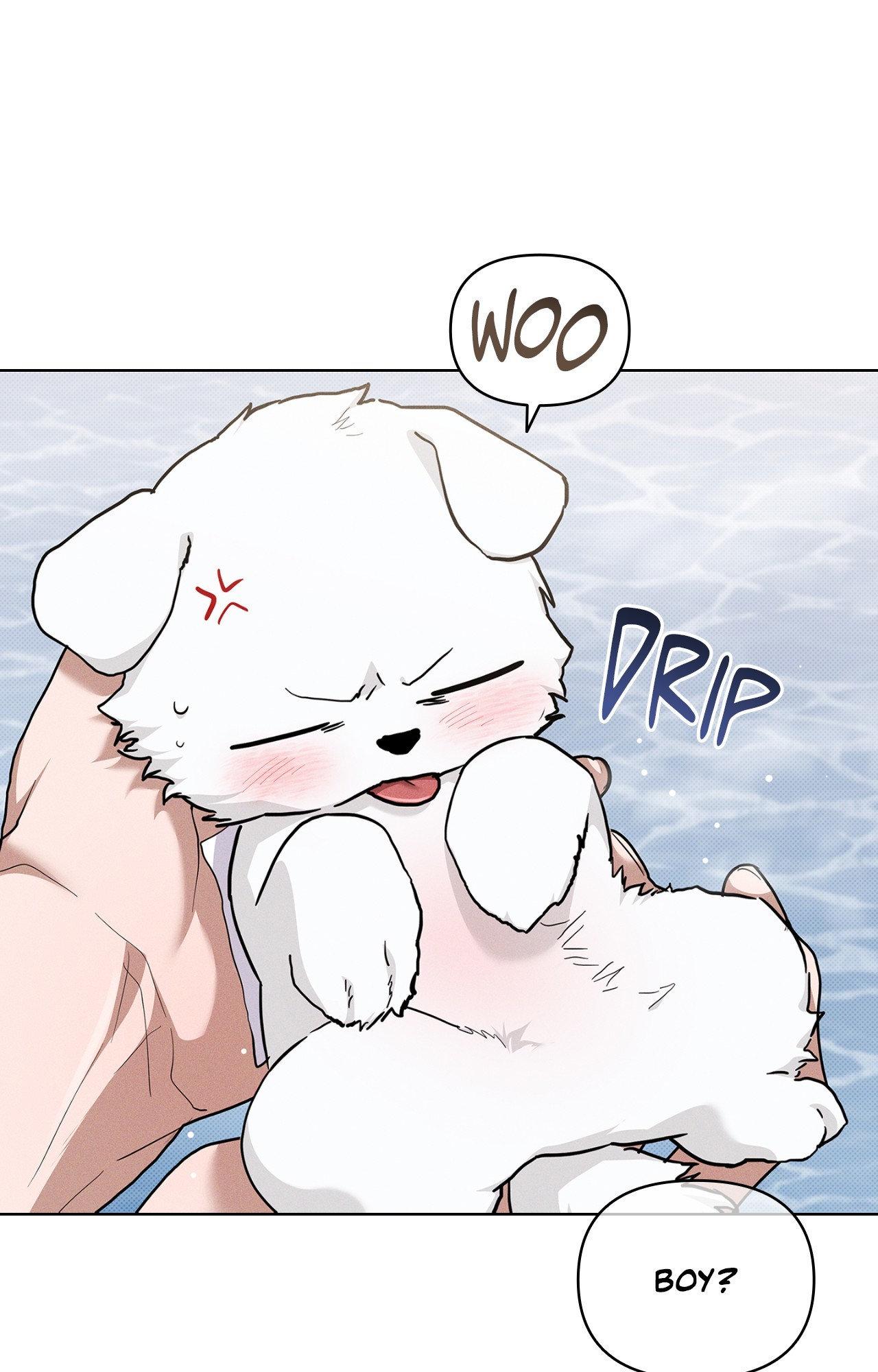 Paws & Claws Chapter 44 page 59 - 