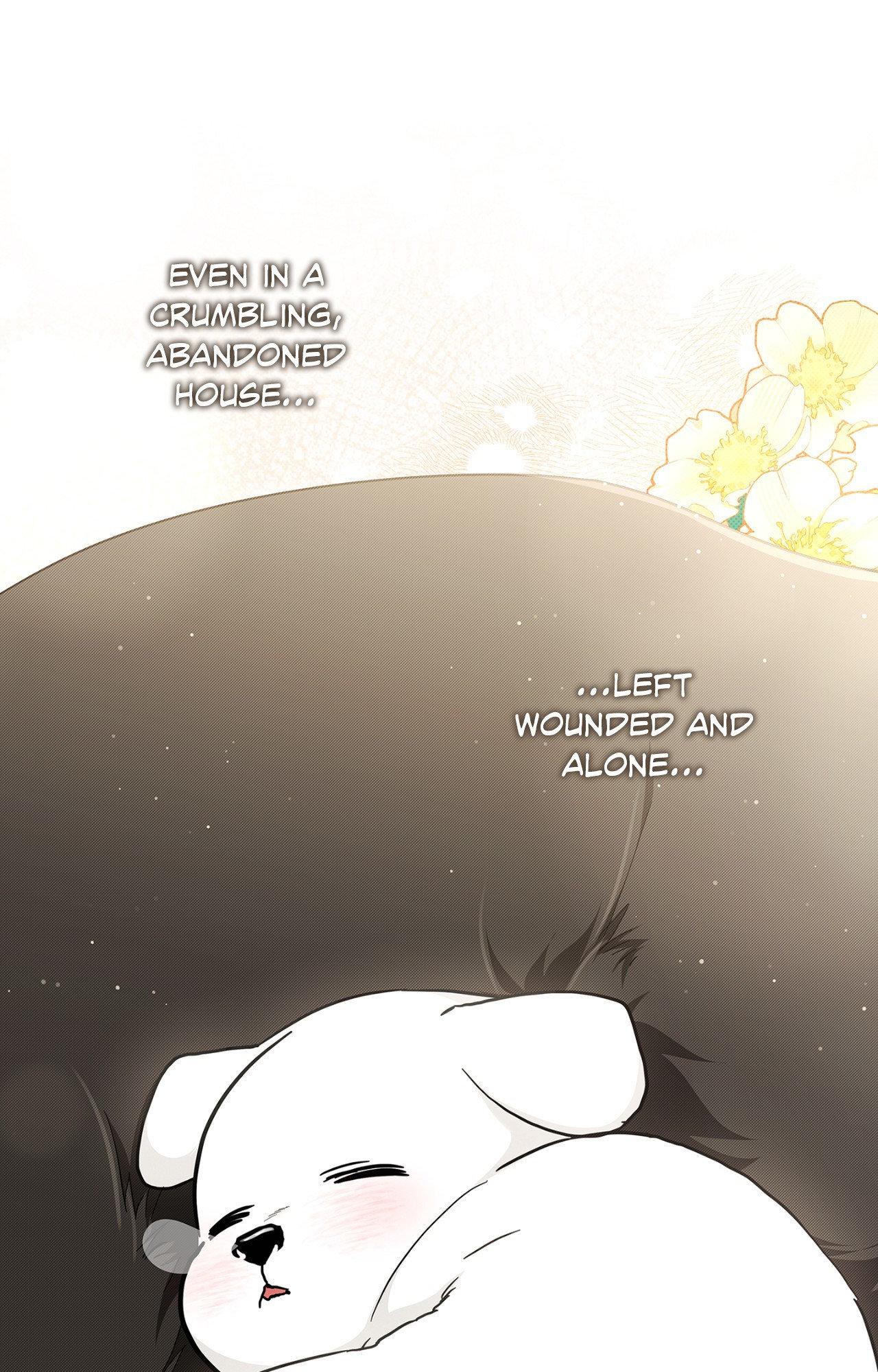 Paws & Claws Chapter 44 page 71 - 