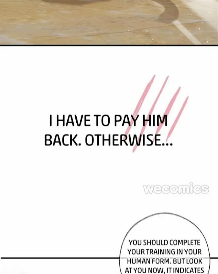 Pay Me Back, Mr. Cat Chapter 0 page 14 - 