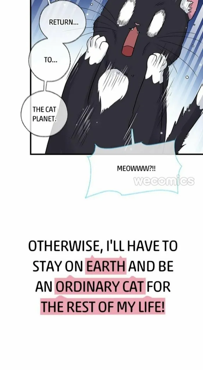 Pay Me Back, Mr. Cat Chapter 0 page 16 - 