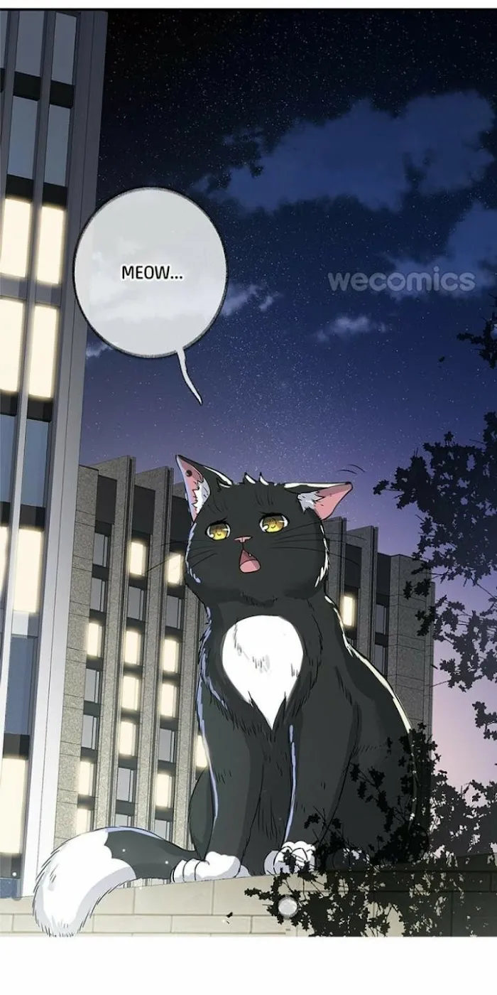 Pay Me Back, Mr. Cat Chapter 0 page 17 - 