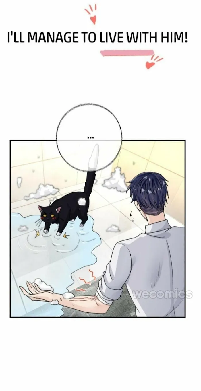 Pay Me Back, Mr. Cat Chapter 0 page 21 - 