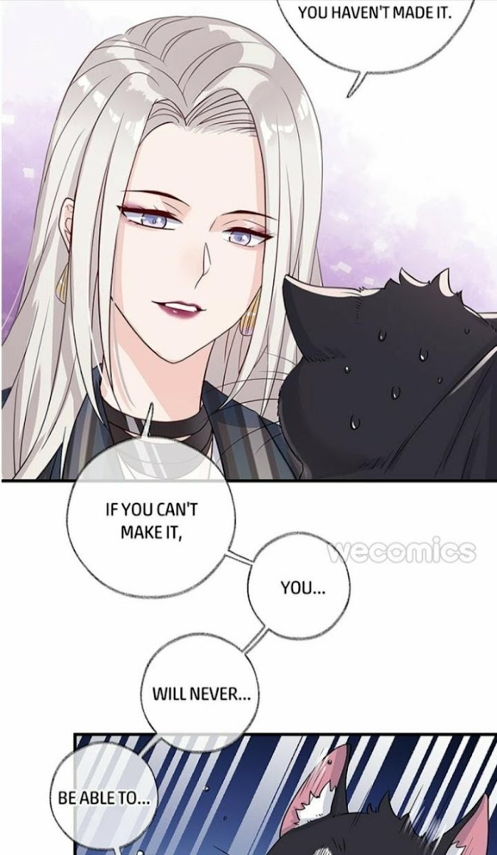 Pay Me Back, Mr. Cat Chapter 1 page 15 - 