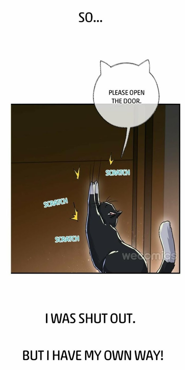 Pay Me Back, Mr. Cat Chapter 1 page 18 - 