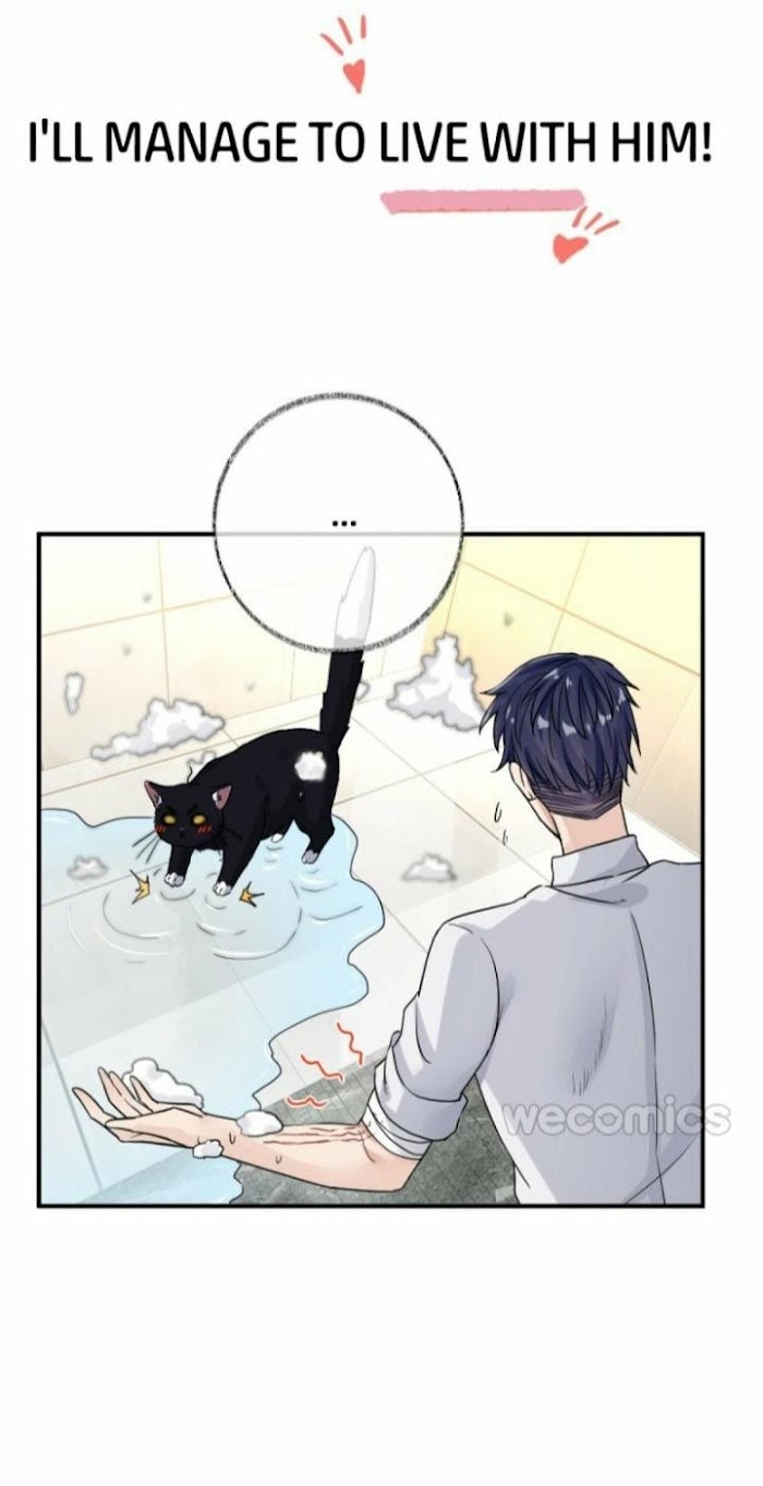 Pay Me Back, Mr. Cat Chapter 1 page 21 - 
