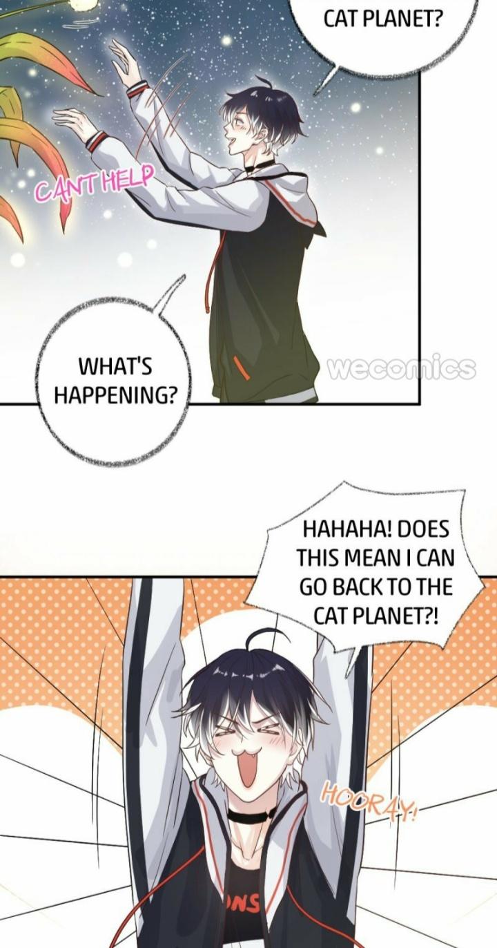 Pay Me Back, Mr. Cat Chapter 10 page 17 - 