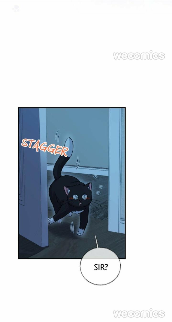 Pay Me Back, Mr. Cat Chapter 10 page 4 - 