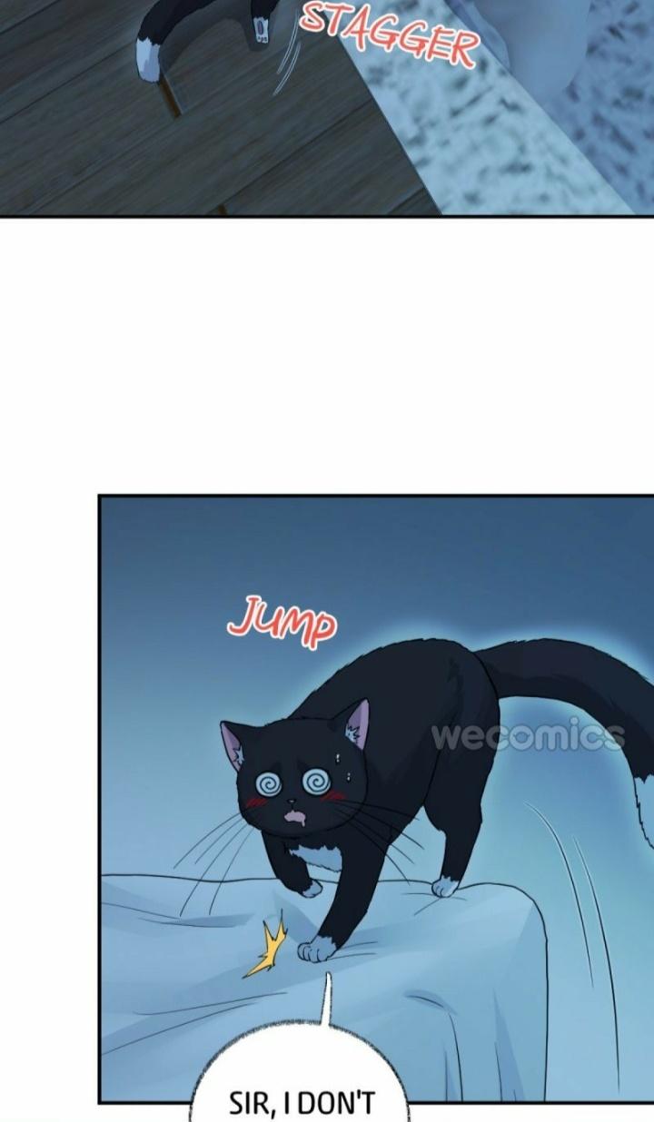 Pay Me Back, Mr. Cat Chapter 10 page 6 - 