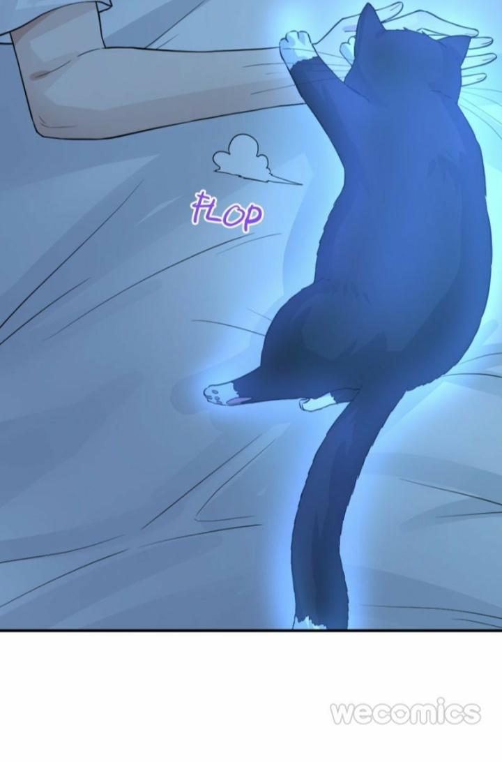 Pay Me Back, Mr. Cat Chapter 10 page 9 - 