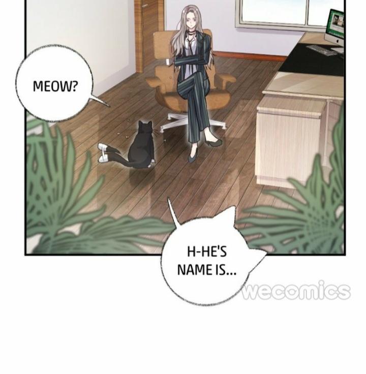 Pay Me Back, Mr. Cat Chapter 11 page 11 - 