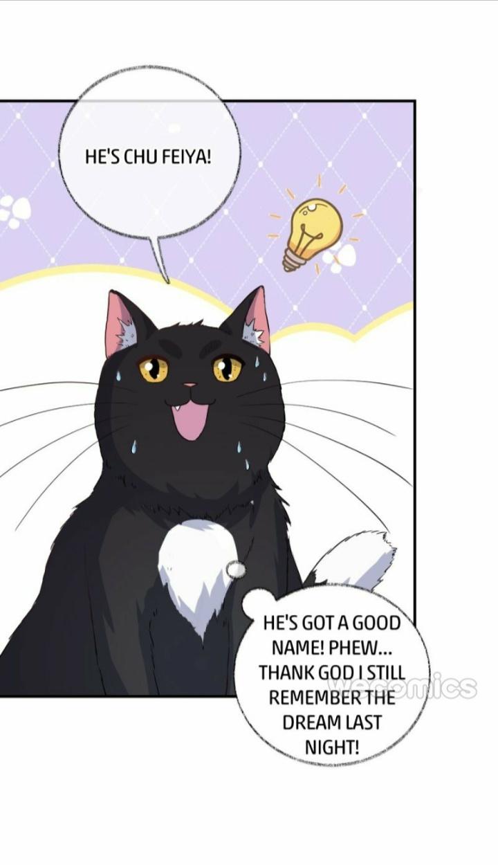 Pay Me Back, Mr. Cat Chapter 11 page 12 - 