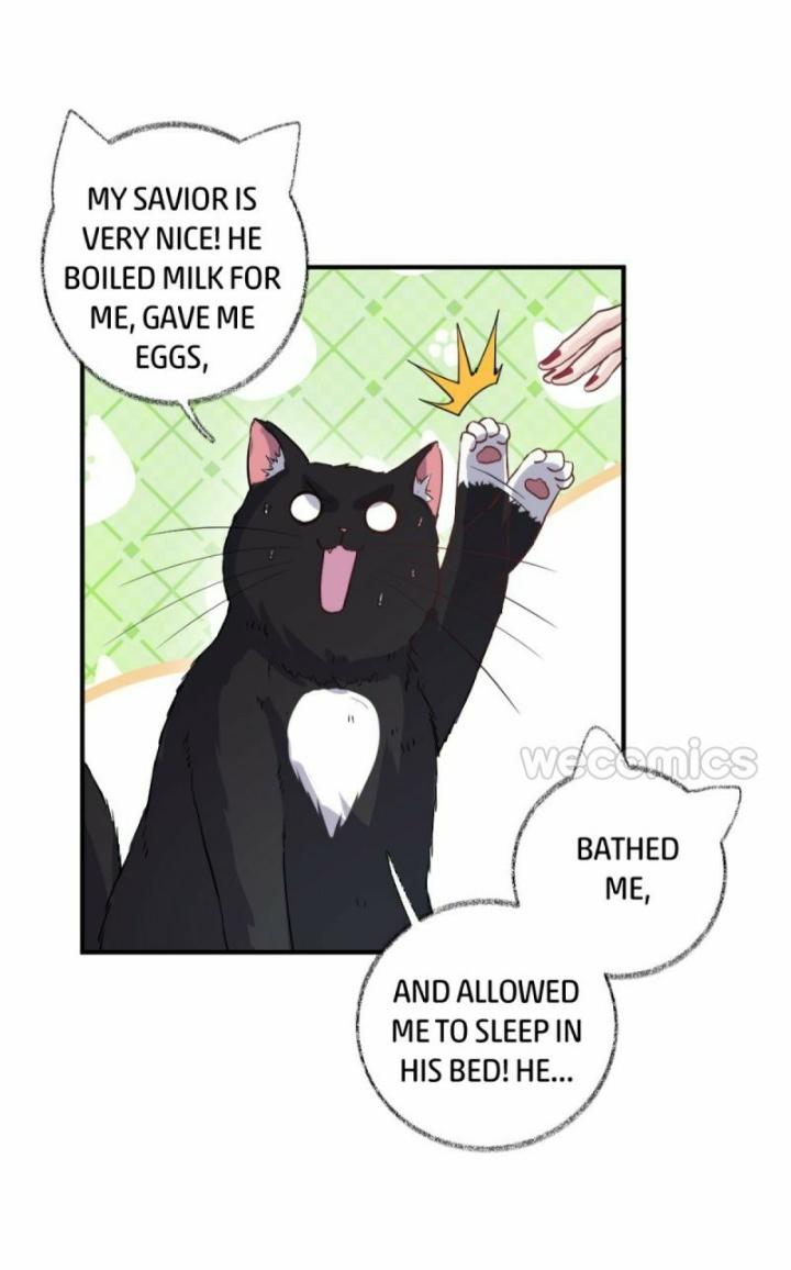 Pay Me Back, Mr. Cat Chapter 11 page 15 - 