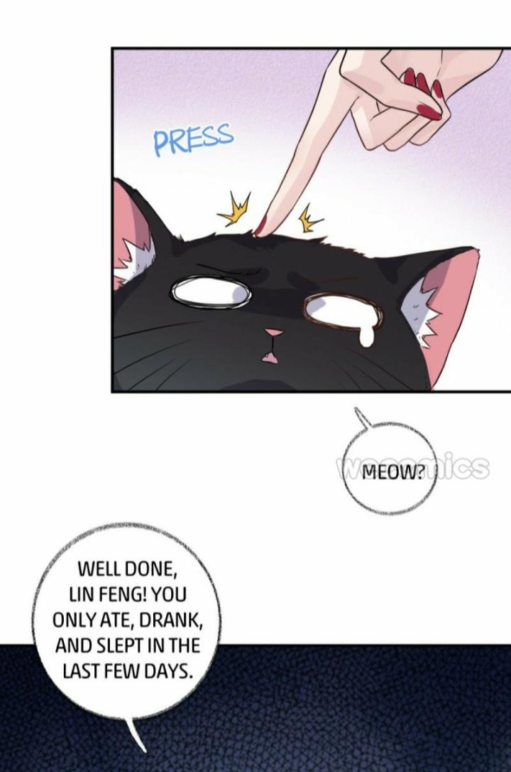 Pay Me Back, Mr. Cat Chapter 11 page 16 - 