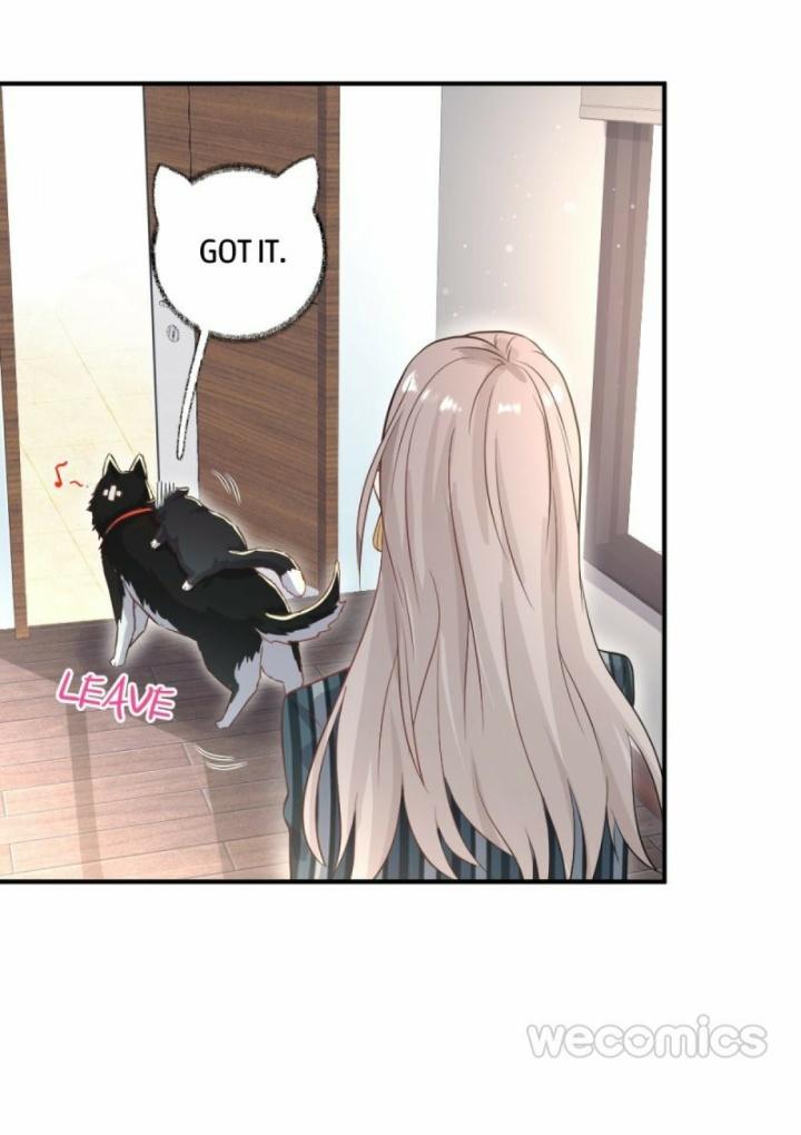 Pay Me Back, Mr. Cat Chapter 11 page 19 - 