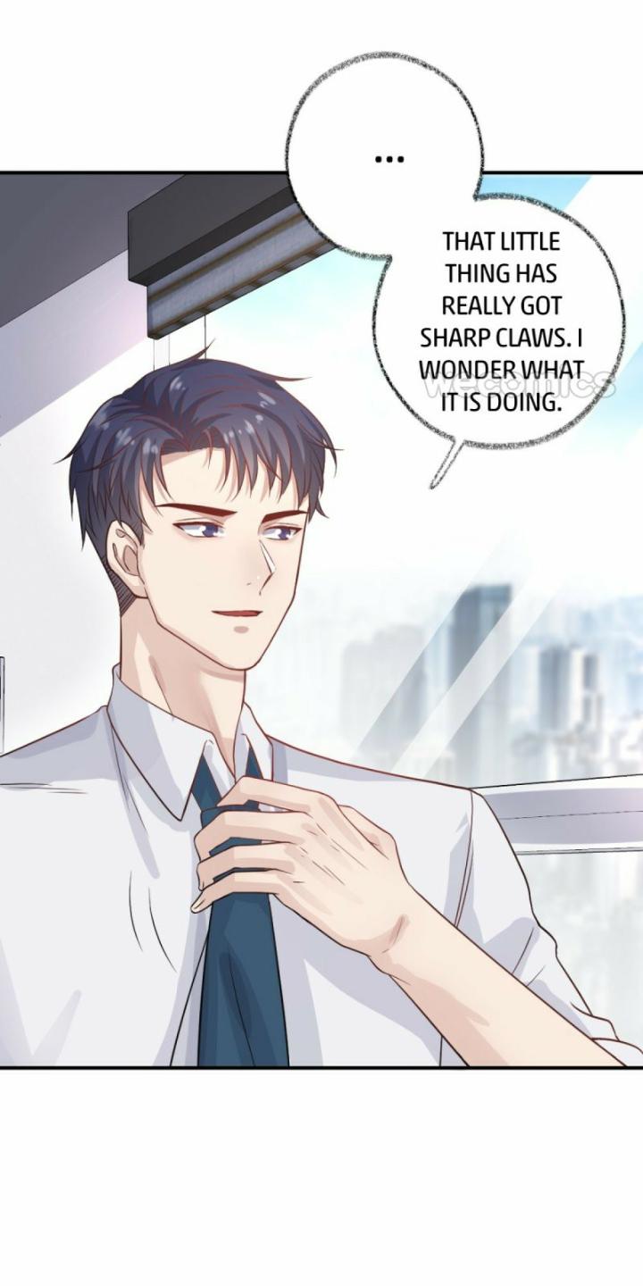 Pay Me Back, Mr. Cat Chapter 11 page 35 - 