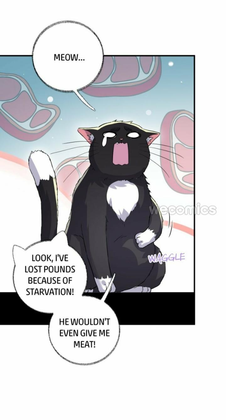 Pay Me Back, Mr. Cat Chapter 11 page 6 - 