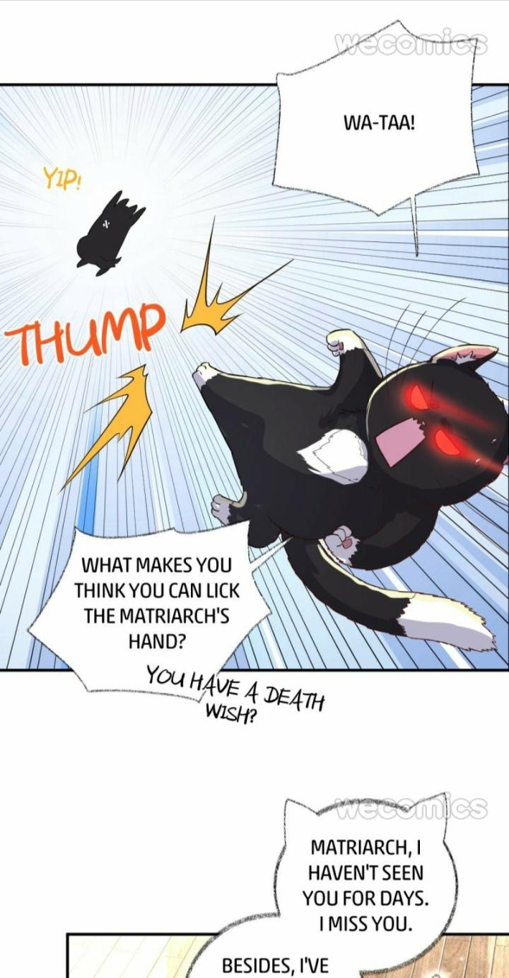 Pay Me Back, Mr. Cat Chapter 11 page 9 - 
