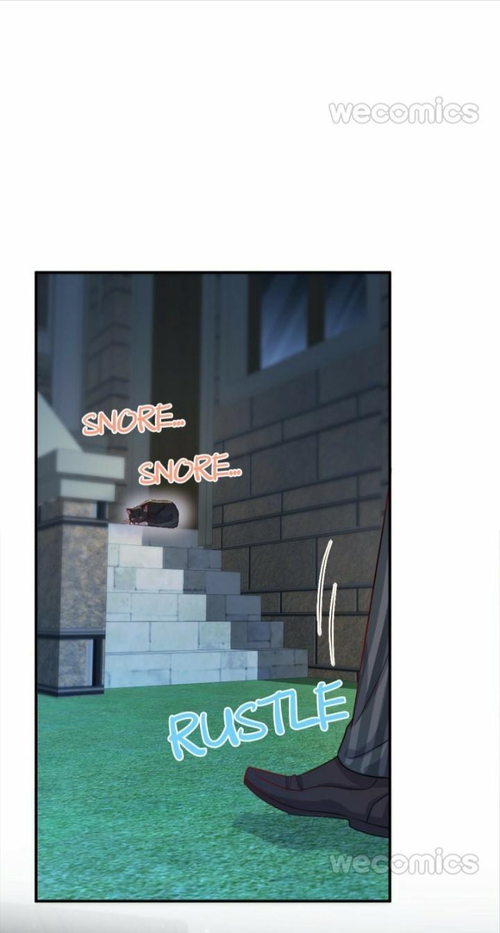 Pay Me Back, Mr. Cat Chapter 12 page 3 - 
