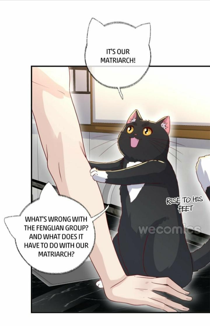 Pay Me Back, Mr. Cat Chapter 12 page 25 - 