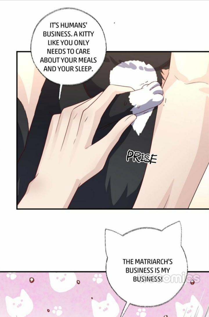 Pay Me Back, Mr. Cat Chapter 12 page 27 - 