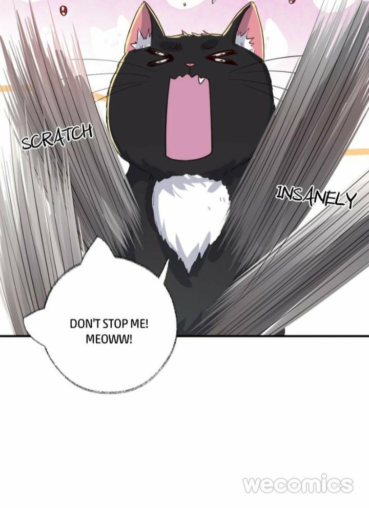 Pay Me Back, Mr. Cat Chapter 12 page 28 - 