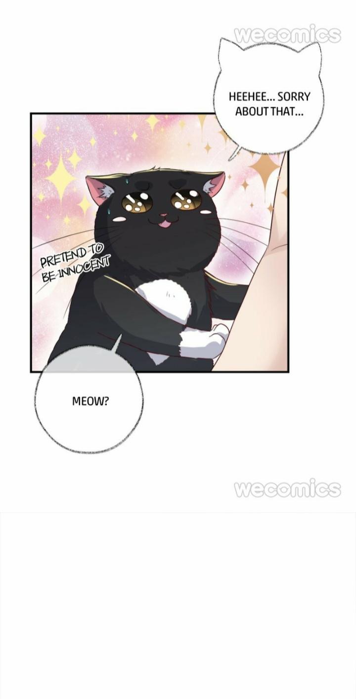 Pay Me Back, Mr. Cat Chapter 12 page 30 - 