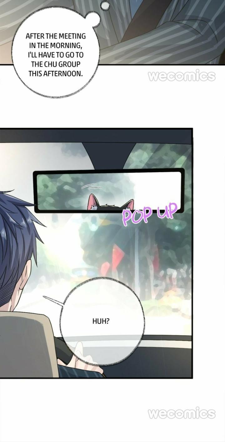 Pay Me Back, Mr. Cat Chapter 12 page 35 - 