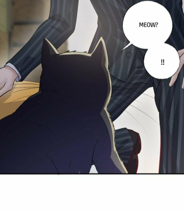 Pay Me Back, Mr. Cat Chapter 12 page 5 - 