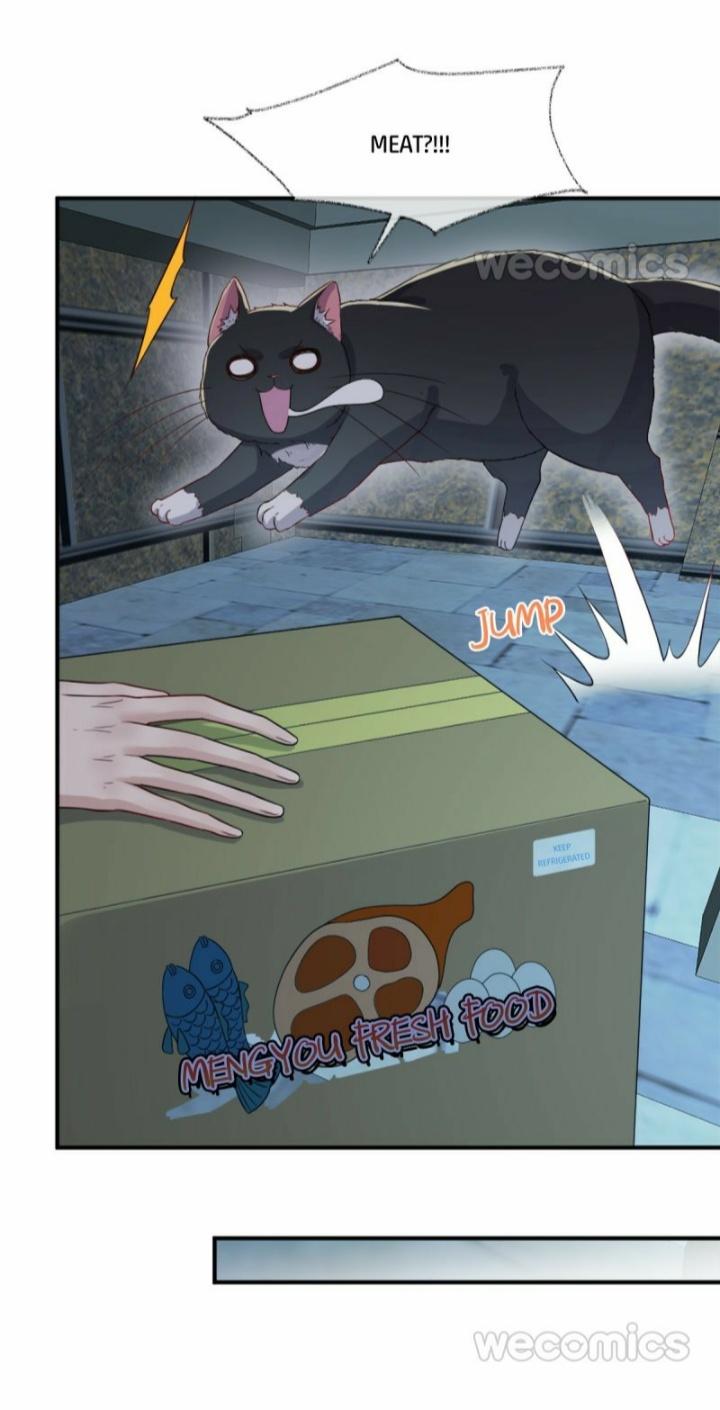 Pay Me Back, Mr. Cat Chapter 12 page 6 - 