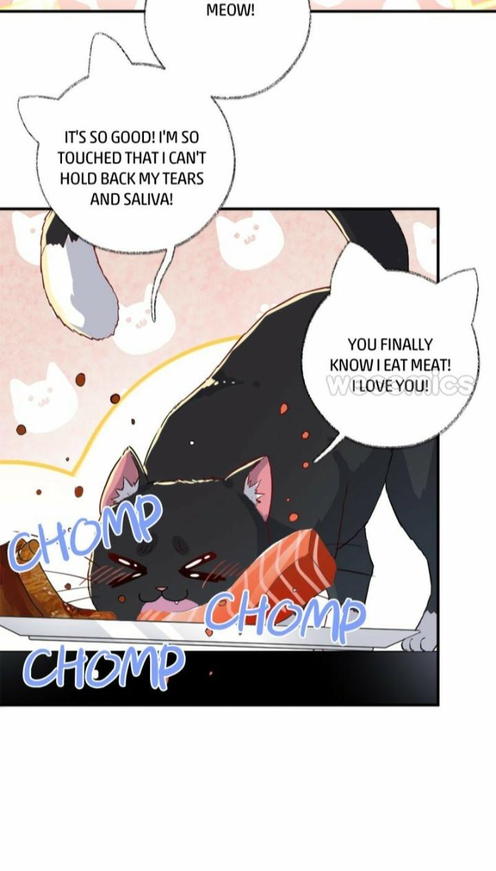 Pay Me Back, Mr. Cat Chapter 12 page 8 - 
