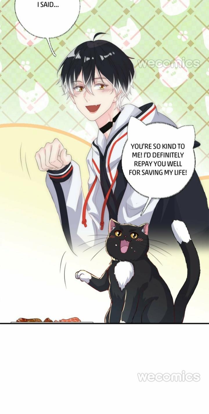 Pay Me Back, Mr. Cat Chapter 12 page 10 - 