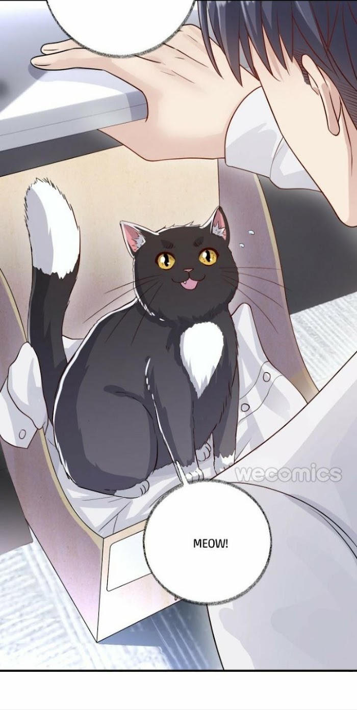 Pay Me Back, Mr. Cat Chapter 13 page 14 - 
