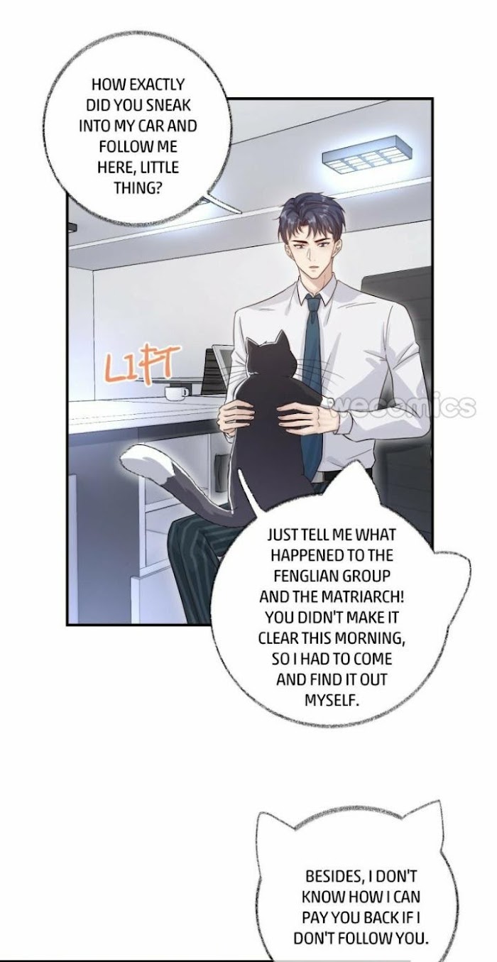 Pay Me Back, Mr. Cat Chapter 13 page 15 - 