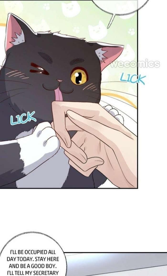 Pay Me Back, Mr. Cat Chapter 13 page 16 - 