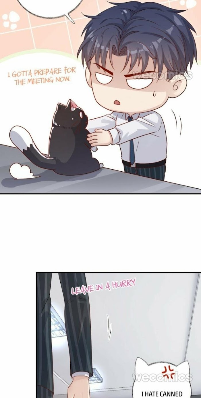 Pay Me Back, Mr. Cat Chapter 13 page 18 - 
