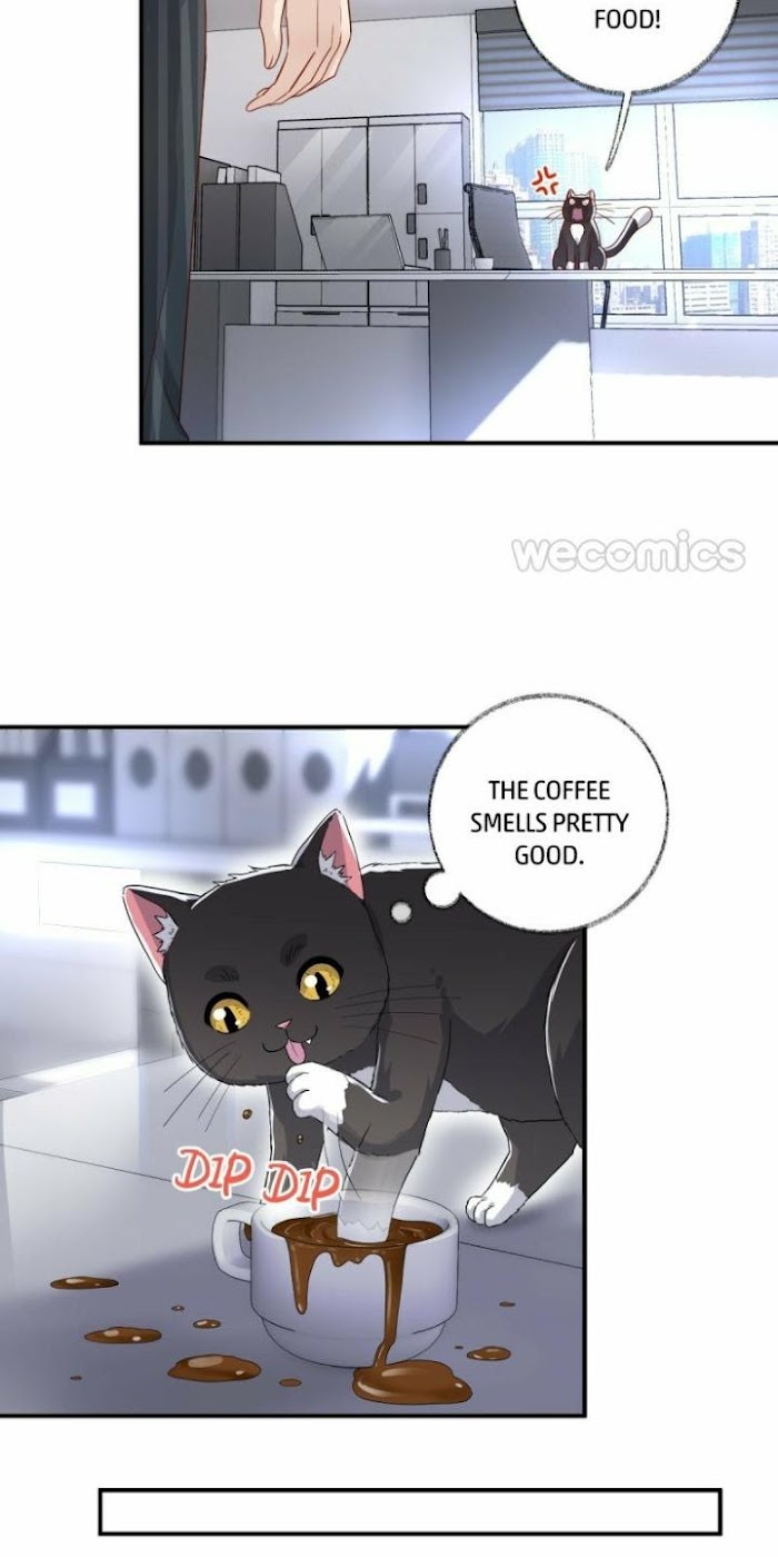 Pay Me Back, Mr. Cat Chapter 13 page 19 - 